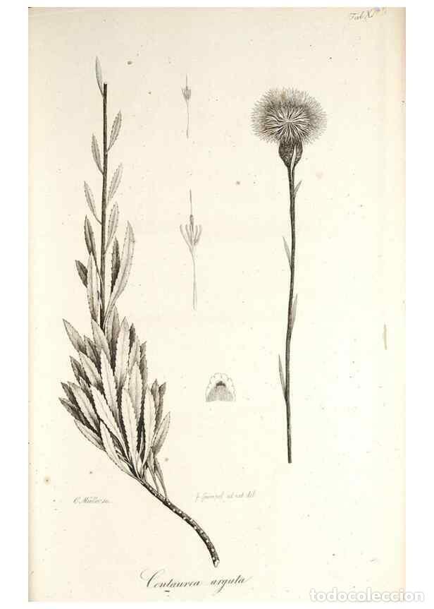 Colecionismo de Revistas e Jornais: Reproducci&oacute;n/Reproduction 49579210127: Horae physicae Berolinenses :. Bonnae :Adolphi Marcus,1820..