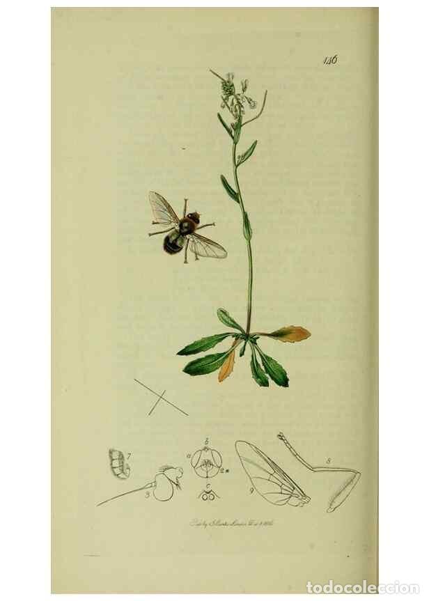 Collectionnisme de Revues et Journaux: Reproducci&oacute;n/Reproduction 49640942976: British entomology :. London,Printed for the author,1823-1840