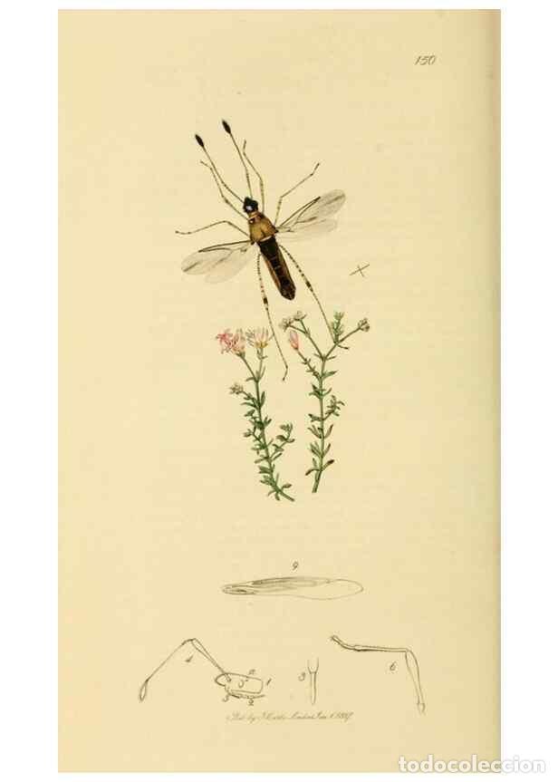 Collectionnisme de Revues et Journaux: Reproducci&oacute;n/Reproduction 49640346908: British entomology :. London,Printed for the author,1823-1840