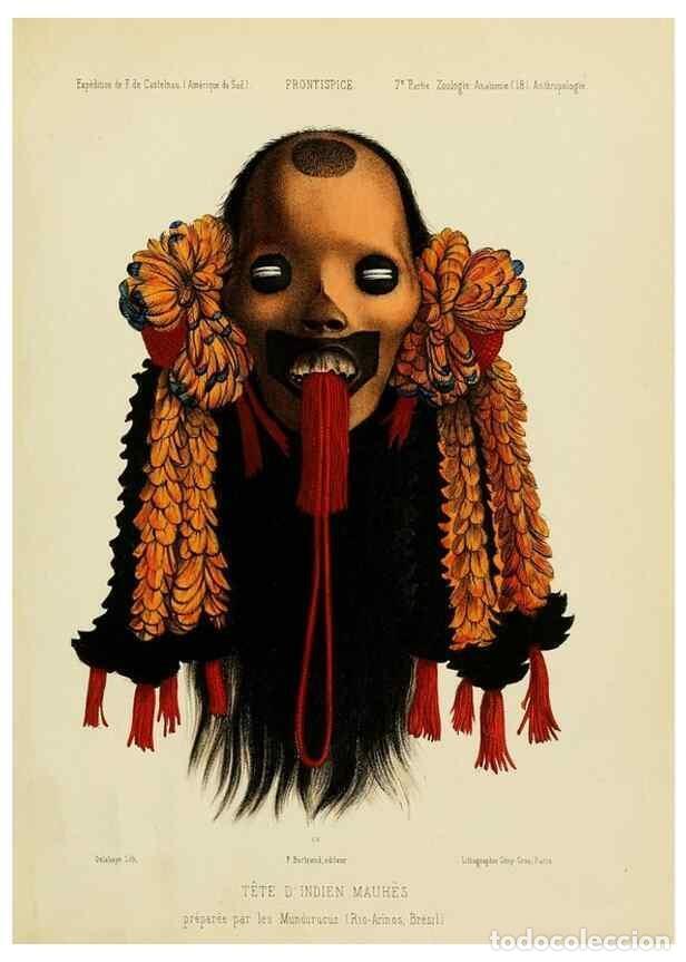 Coleccionismo de Revistas y Peri&oacute;dicos: Reproducci&oacute;n/Reproduction 49814073242: Exp&eacute;dition dans les parties centrales de l'Am&eacute;rique du Sud. P