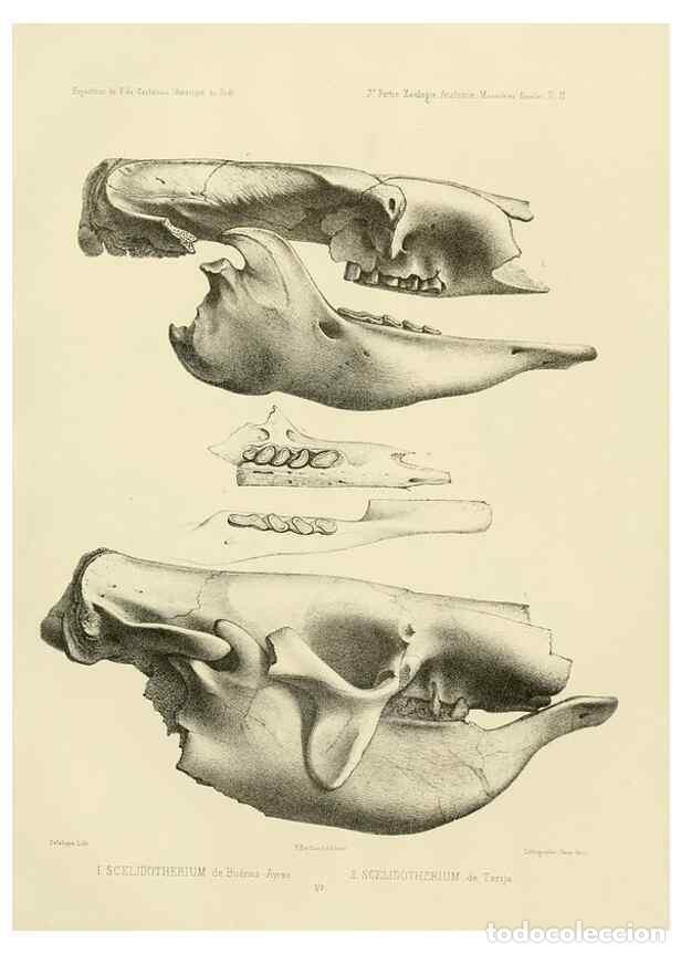 Coleccionismo de Revistas y Peri&oacute;dicos: Reproducci&oacute;n/Reproduction 49814071212: Exp&eacute;dition dans les parties centrales de l'Am&eacute;rique du Sud. P