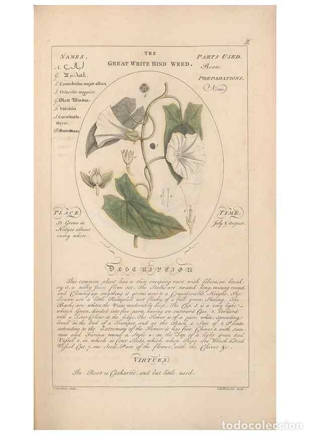 Sammeln von Zeitschriften und Zeitungen: Reproducci&oacute;n/Reproduction 49788065896: Botanicum medicinale :. London :Printed for J. Millan, opposi