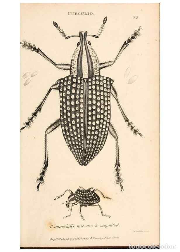 Collectionnisme de Revues et Journaux: Reproducci&oacute;n/Reproduction 49827204366: General zoology, or Systematic natural history. London,Printe