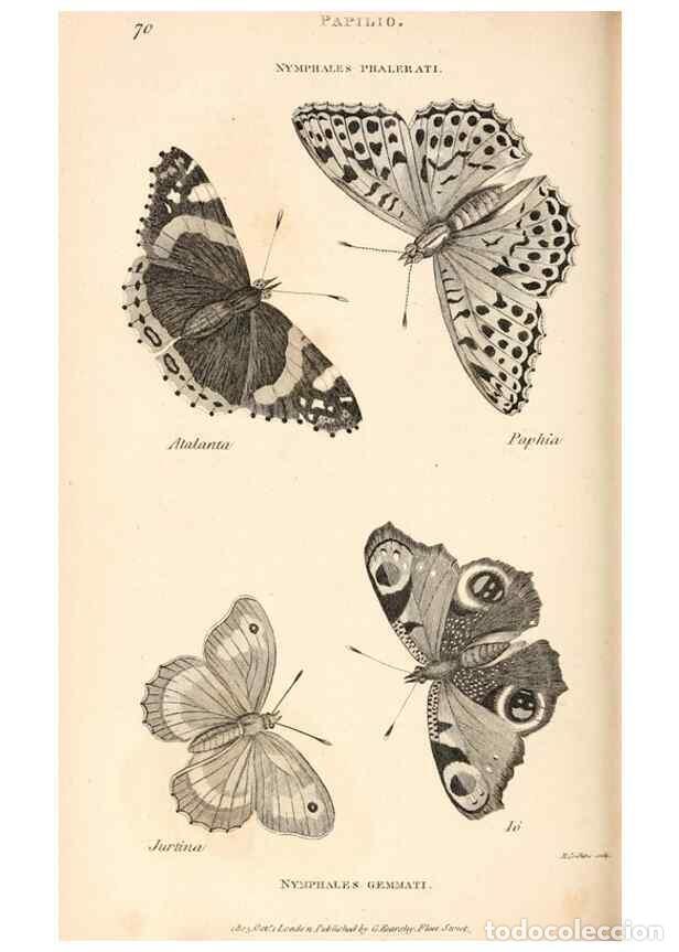 Collectionnisme de Revues et Journaux: Reproducci&oacute;n/Reproduction 49826688768: General zoology, or Systematic natural history. London,Printe