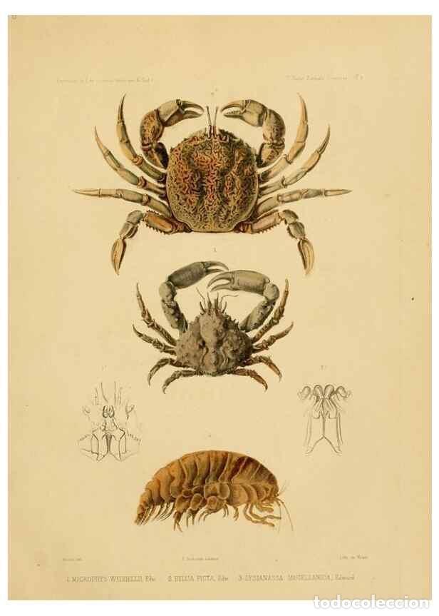 Sammeln von Zeitschriften und Zeitungen: Reproducci&oacute;n/Reproduction 49814368621: Exp&eacute;dition dans les parties centrales de l'Am&eacute;rique du Sud. P