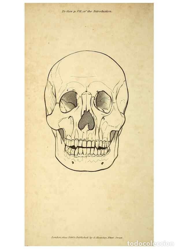 Sammeln von Zeitschriften und Zeitungen: Reproducci&oacute;n/Reproduction 49826716082: General zoology, or Systematic natural history. London,Printe