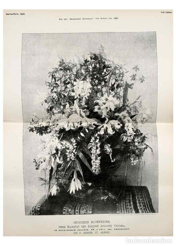 Sammeln von Zeitschriften und Zeitungen: Reproducci&oacute;n/Reproduction 49717333863: Gartenflora.. Erlangen :F. Enke,1852-1940.. - Deutsche Garten