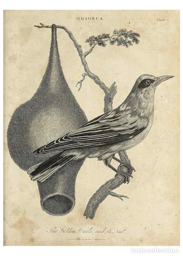 Collezionismo di Riviste e Giornali: Reproducci&oacute;n/Reproduction 49756430433: Encyclopaedia londinensis, or, Universal dictionary of arts,