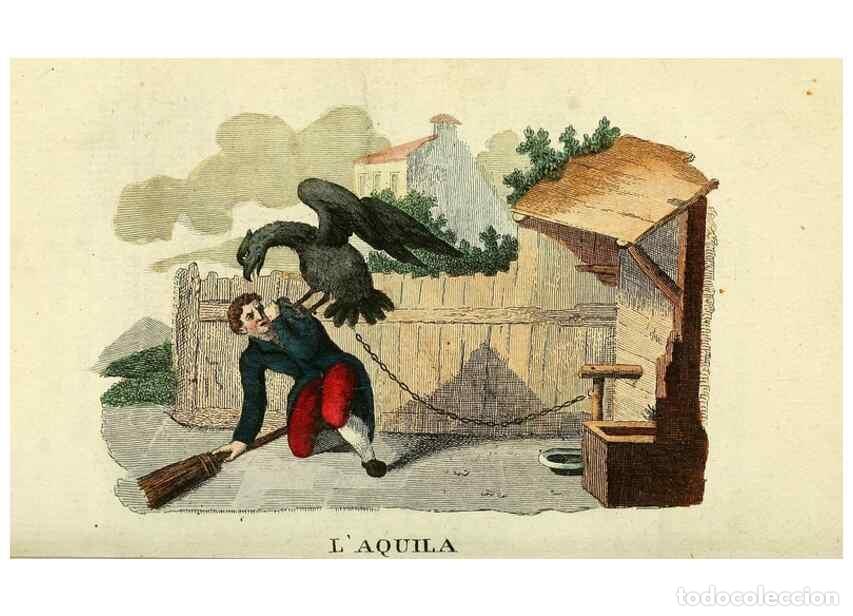 Sammeln von Zeitschriften und Zeitungen: Reproducci&oacute;n/Reproduction 49742573586: Il gabinetto del giovane naturalista. Milano :Presso Omobono