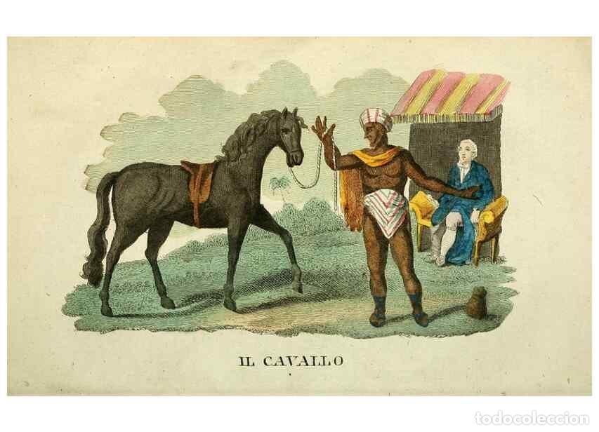 Sammeln von Zeitschriften und Zeitungen: Reproducci&oacute;n/Reproduction 49741918423: Il gabinetto del giovane naturalista. Milano :Presso Omobono