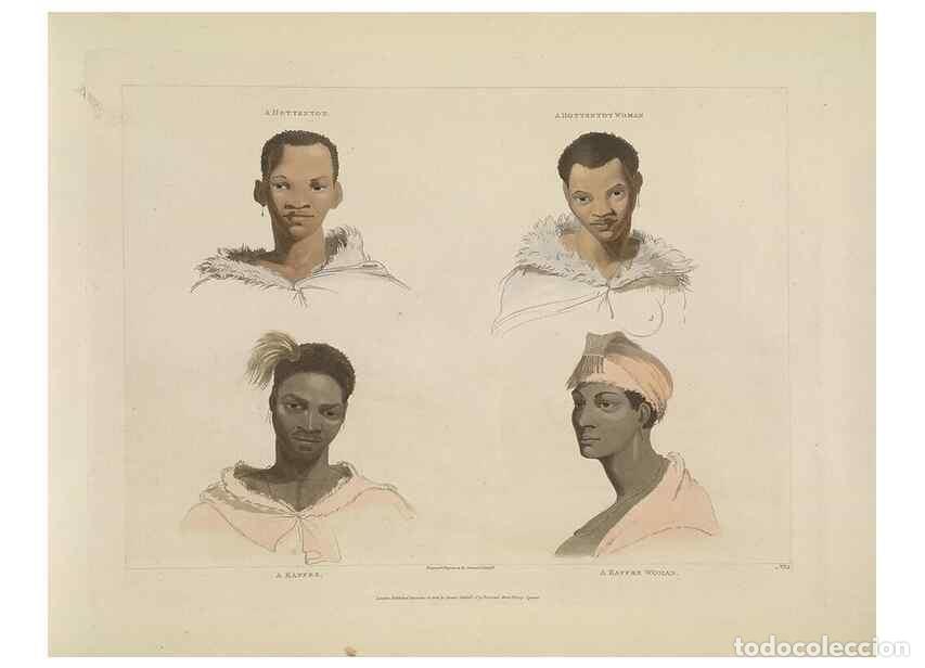 Sammeln von Zeitschriften und Zeitungen: Reproducci&oacute;n/Reproduction 49753244821: [African scenery and animals]. London,1804-05. - Daniell, Sam