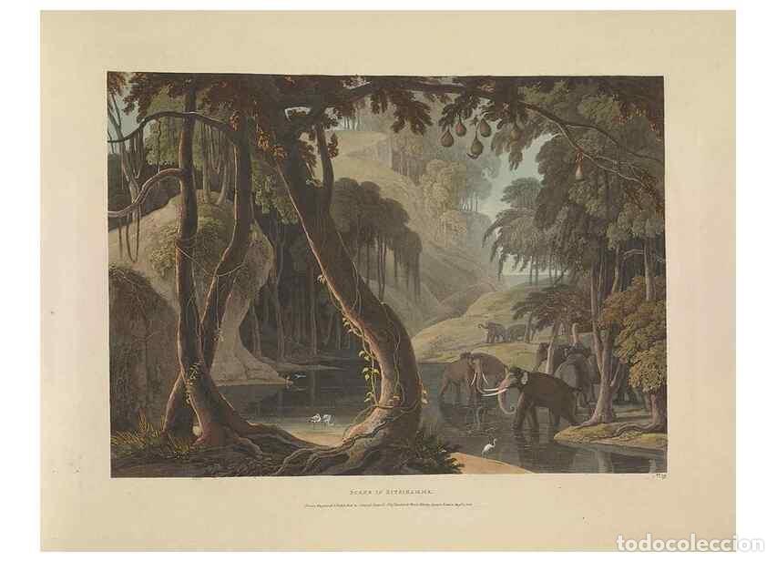 Sammeln von Zeitschriften und Zeitungen: Reproducci&oacute;n/Reproduction 49753246116: [African scenery and animals]. London,1804-05. - Daniell, Sam