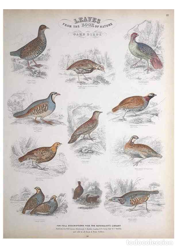 Collectionnisme de Revues et Journaux: Reproducci&oacute;n/Reproduction 49749391086: Leaves from the book of nature,. Edinburgh :W.H. Lizars;[184-