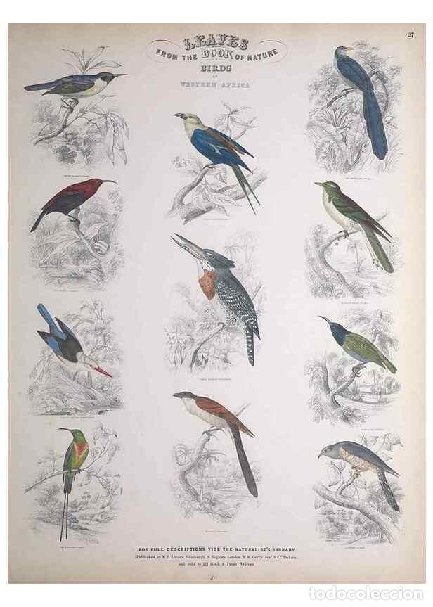 Collectionnisme de Revues et Journaux: Reproducci&oacute;n/Reproduction 49748849313: Leaves from the book of nature,. Edinburgh :W.H. Lizars;[184-