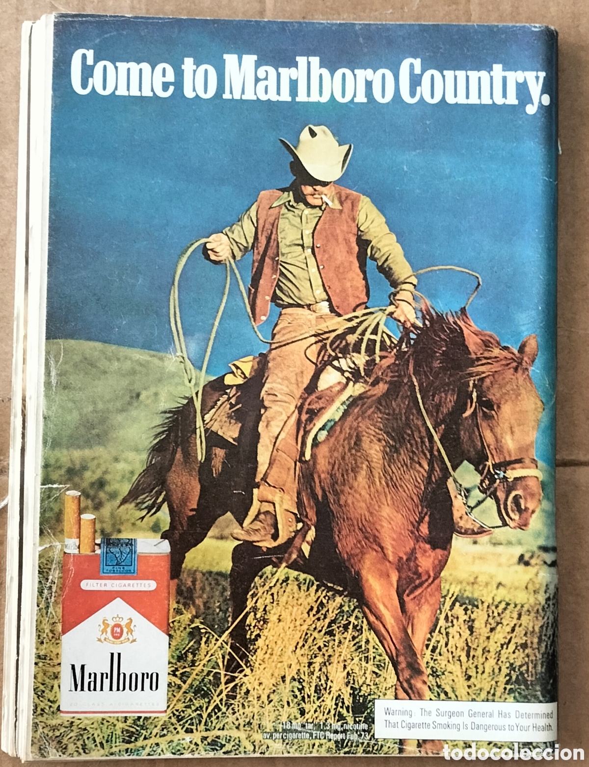 Collectionnisme de Revues et Journaux: Revista Playboy americana.1973