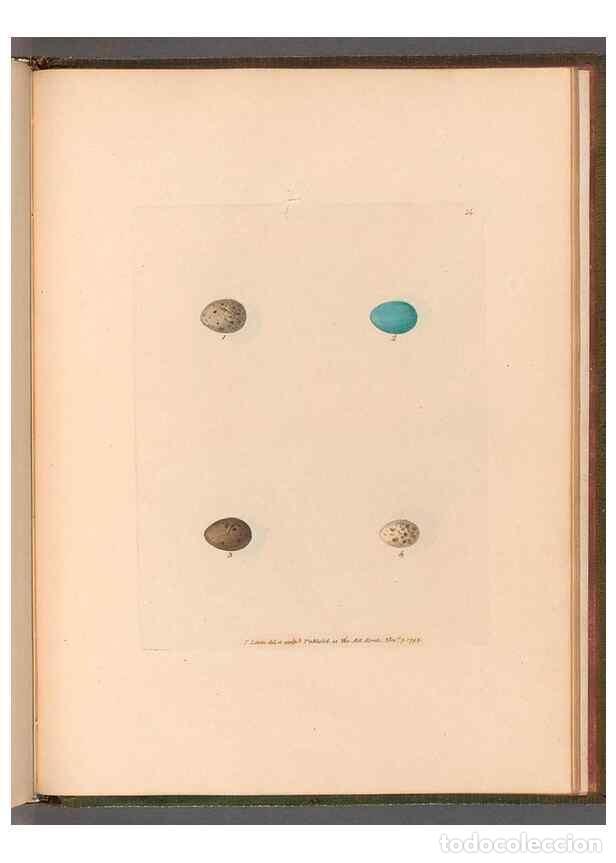 Sammeln von Zeitschriften und Zeitungen: Reproducci&oacute;n/Reproduction 49054677548: The birds of Great Britain,. 1795-1801.. - Lewin, William,