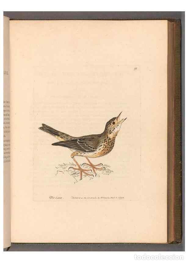 Sammeln von Zeitschriften und Zeitungen: Reproducci&oacute;n/Reproduction 49054630098: The birds of Great Britain,. 1795-1801.. - Lewin, William,