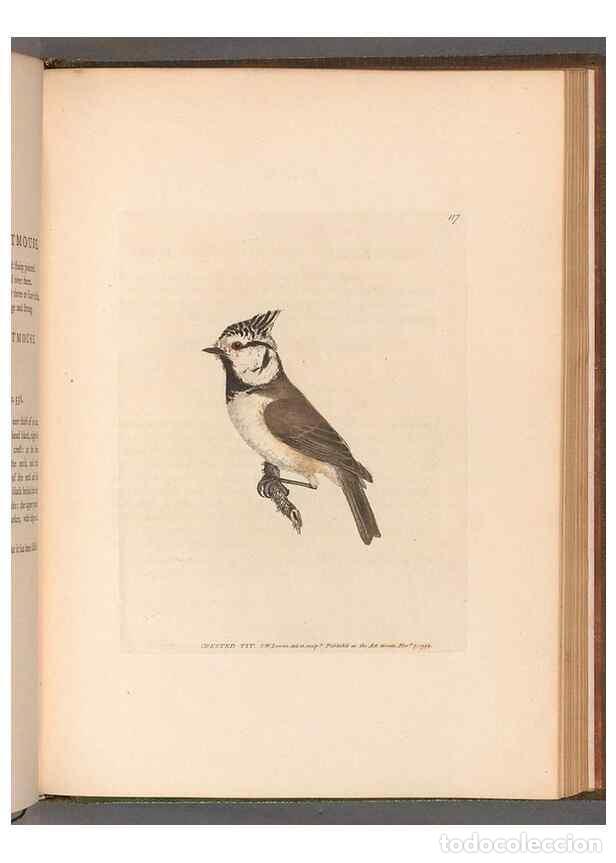 Sammeln von Zeitschriften und Zeitungen: Reproducci&oacute;n/Reproduction 49054672498: The birds of Great Britain,. 1795-1801.. - Lewin, William,