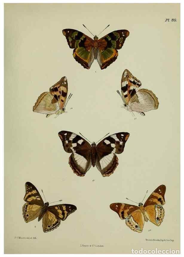 Sammeln von Zeitschriften und Zeitungen: Reproducci&oacute;n/Reproduction 41120521631: Lepidoptera indica.. London,1890-1913.. - Moore, Frederic,