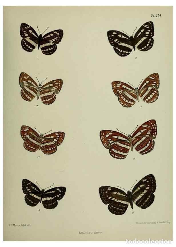 Sammeln von Zeitschriften und Zeitungen: Reproducci&oacute;n/Reproduction 40226307945: Lepidoptera indica.. London,1890-1913.. - Moore, Frederic,
