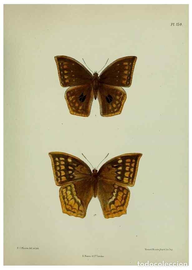 Colecionismo de Revistas e Jornais: Reproducci&oacute;n/Reproduction 24304681837: Lepidoptera indica.. London,1890-1913.. - Moore, Frederic,