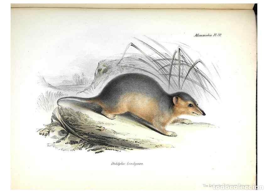 Sammeln von Zeitschriften und Zeitungen: Reproducci&oacute;n/Reproduction 8387114594: The zoology of the voyage of H.M.S. Beagle .... London,Smith,