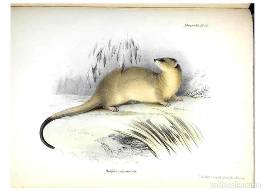 Collection Magazines and Newspapers: Reproducci&oacute;n/Reproduction 8386027817: The zoology of the voyage of H.M.S. Beagle .... London,Smith,