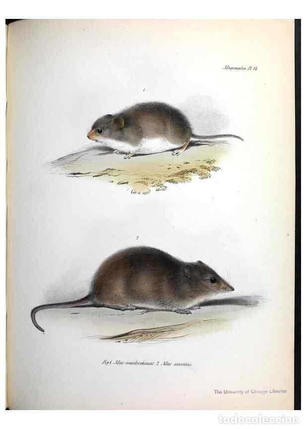 Sammeln von Zeitschriften und Zeitungen: Reproducci&oacute;n/Reproduction 8386021961: The zoology of the voyage of H.M.S. Beagle .... London,Smith,