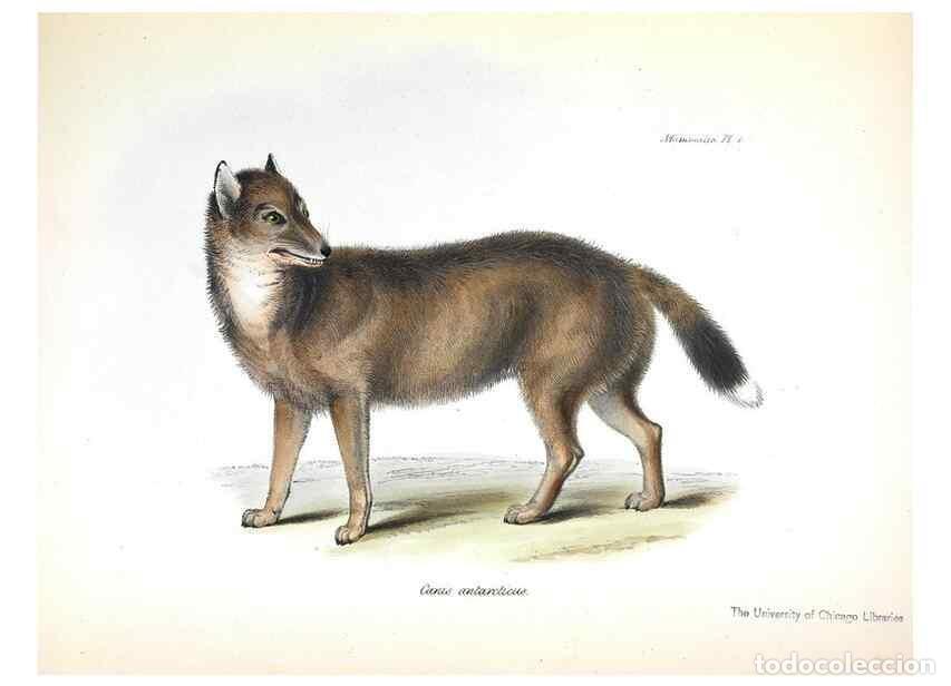 Collection Magazines and Newspapers: Reproducci&oacute;n/Reproduction 8387102814: The zoology of the voyage of H.M.S. Beagle .... London,Smith,