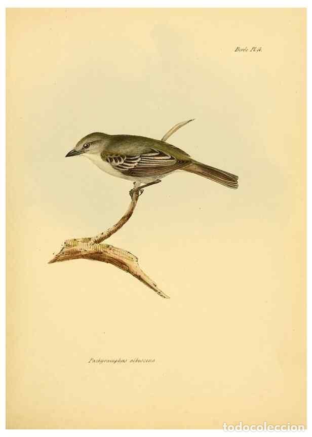 Colecionismo de Revistas e Jornais: Reproducci&oacute;n/Reproduction 8430586354: The zoology of the voyage of H.M.S. Beagle .... London,Smith,