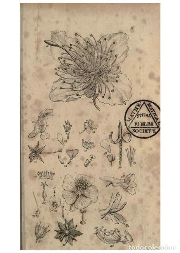 Collection Magazines and Newspapers: Reproducci&oacute;n/Reproduction 8447399243: A grammar of botany,. London,Longman,1821. - Smith, James Edwa