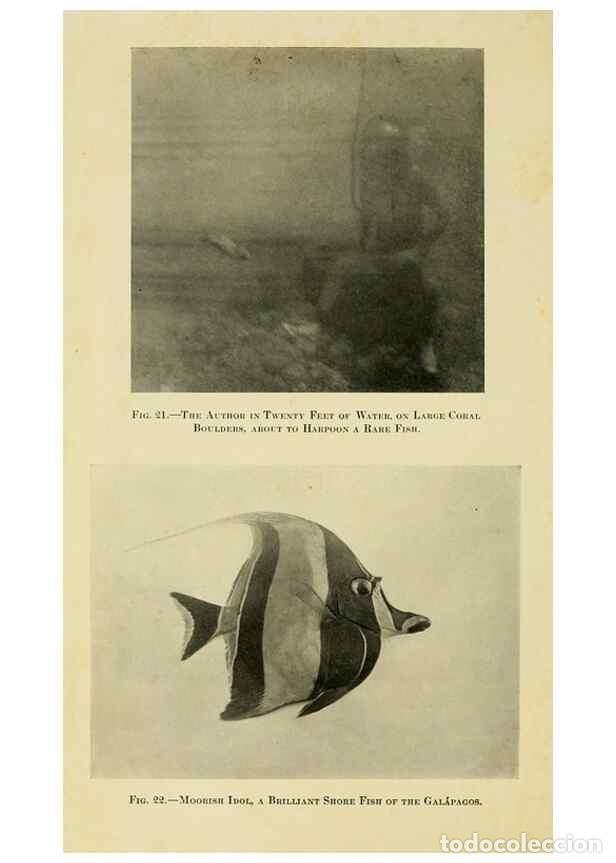 Collection Magazines and Newspapers: Reproducci&oacute;n/Reproduction 7698597612: The Arcturus adventure :. New York :Putnam,1926. - Beebe, Will
