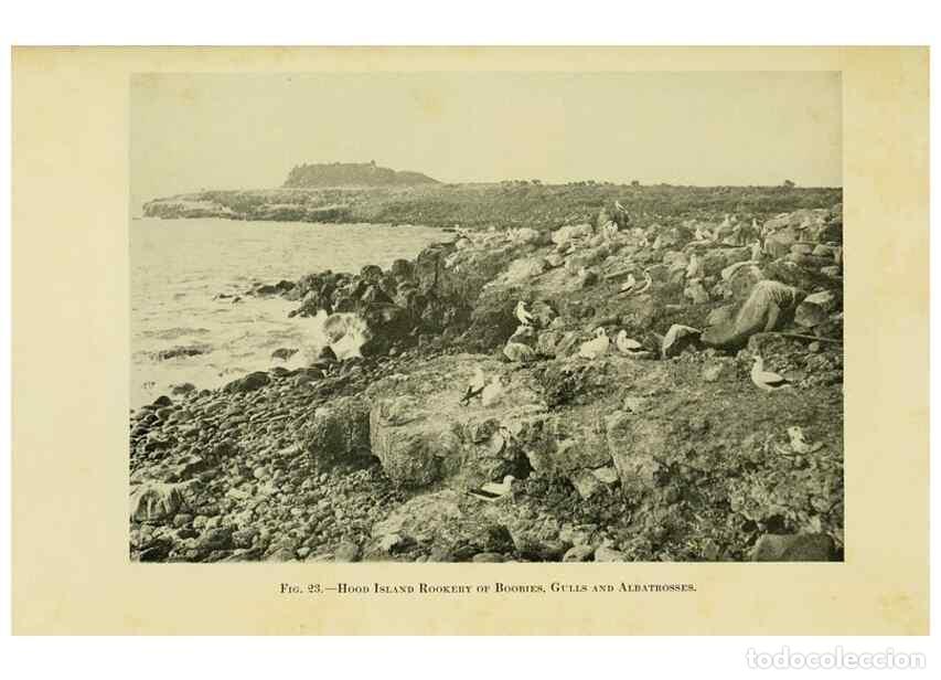 Collectionnisme de Revues et Journaux: Reproducci&oacute;n/Reproduction 7698599002: The Arcturus adventure :. New York :Putnam,1926. - Beebe, Will