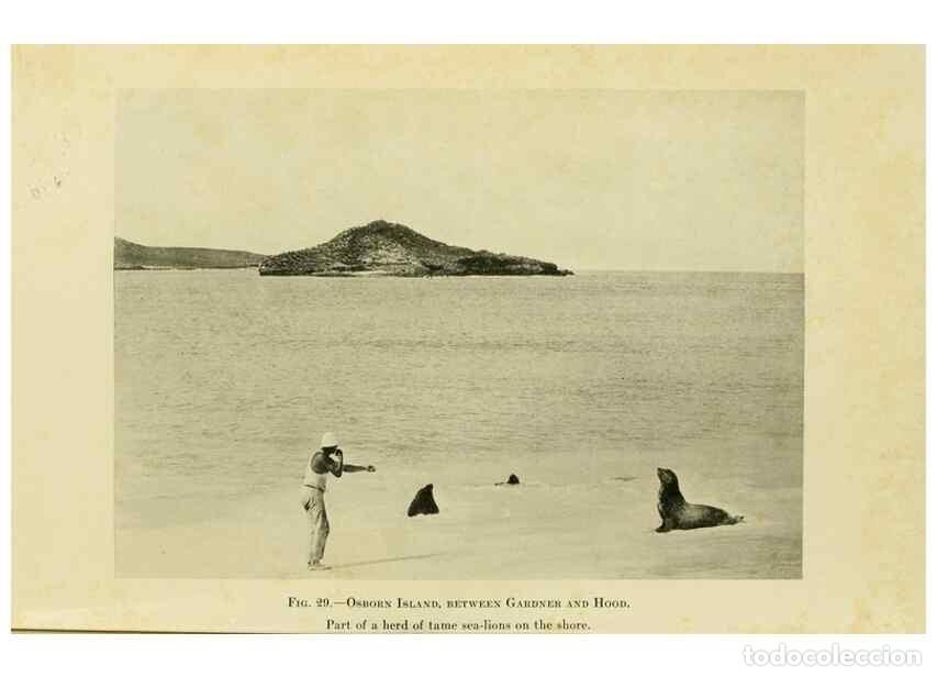 Sammeln von Zeitschriften und Zeitungen: Reproducci&oacute;n/Reproduction 7698606396: The Arcturus adventure :. New York :Putnam,1926. - Beebe, Will