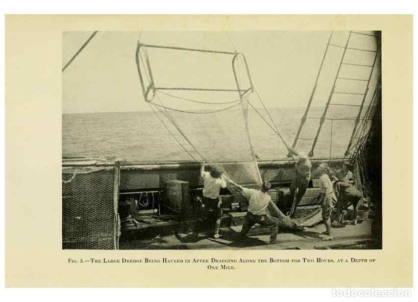 Colecionismo de Revistas e Jornais: Reproducci&oacute;n/Reproduction 7698578728: The Arcturus adventure :. New York :Putnam,1926. - Beebe, Will