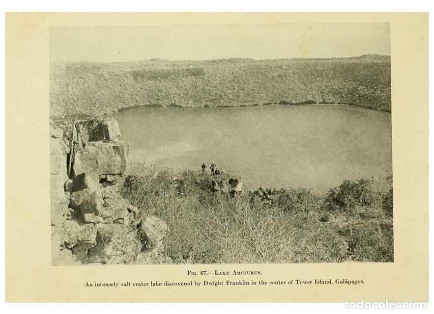 Collectionnisme de Revues et Journaux: Reproducci&oacute;n/Reproduction 7698644694: The Arcturus adventure :. New York :Putnam,1926. - Beebe, Will