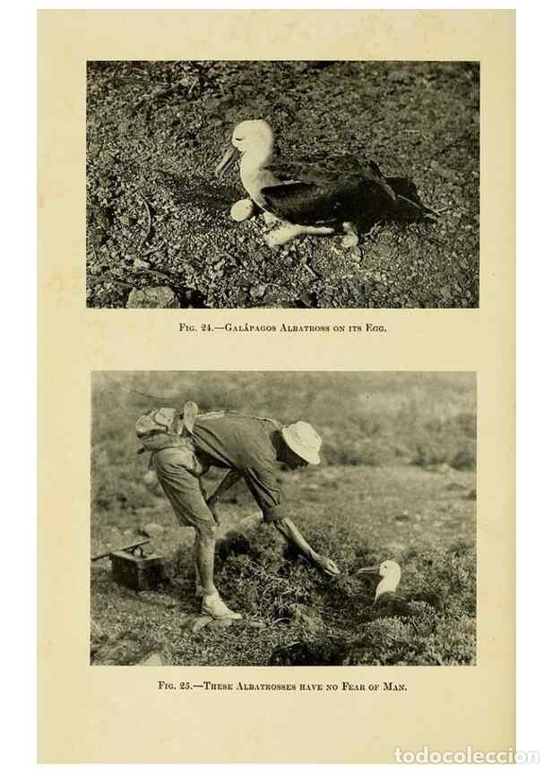 Sammeln von Zeitschriften und Zeitungen: Reproducci&oacute;n/Reproduction 7698600780: The Arcturus adventure :. New York :Putnam,1926. - Beebe, Will