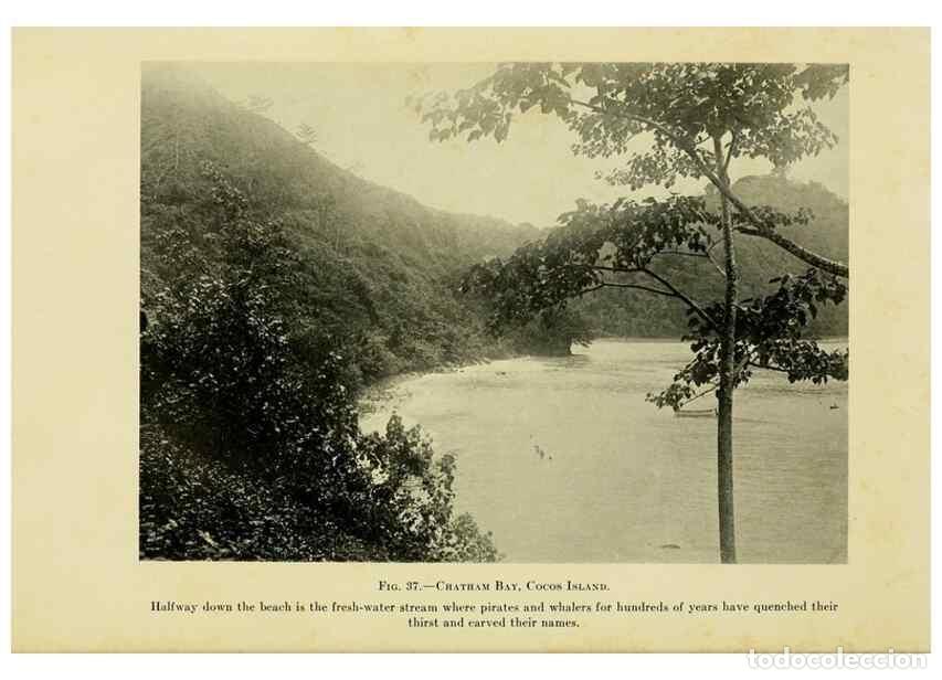 Collezionismo di Riviste e Giornali: Reproducci&oacute;n/Reproduction 7698618312: The Arcturus adventure :. New York :Putnam,1926. - Beebe, Will