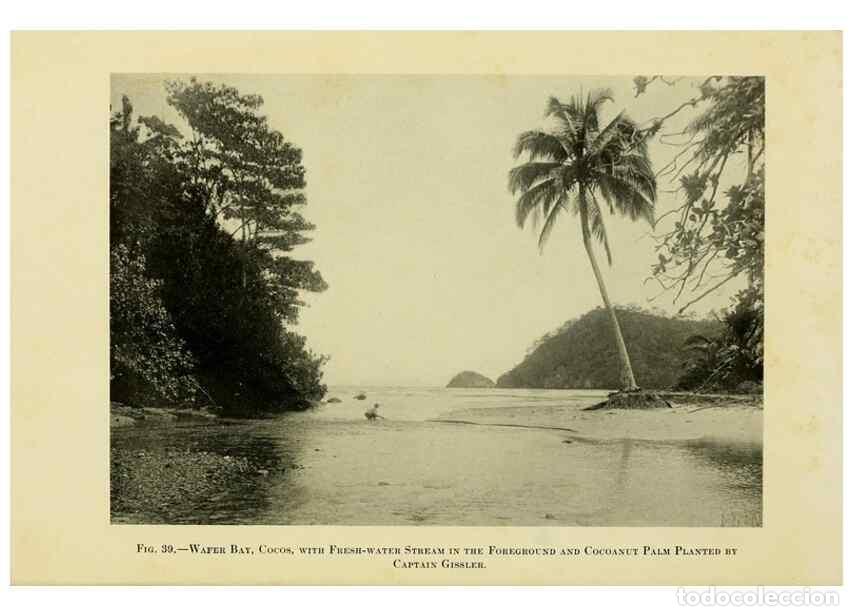 Collection Magazines and Newspapers: Reproducci&oacute;n/Reproduction 7698621558: The Arcturus adventure :. New York :Putnam,1926. - Beebe, Will