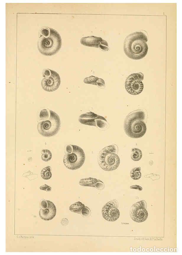 Collezionismo di Riviste e Giornali: Reproducci&oacute;n/Reproduction 6472357399: Die Preussische expedition nach Ost-Asien. bd.2. Berlin :K&ouml;nig