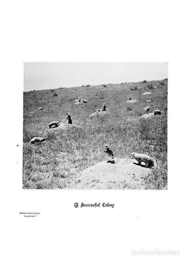 Coleccionismo de Revistas y Peri&oacute;dicos: Reproducci&oacute;n/Reproduction 6880493814: Hoofs, claws and antlers of the Rocky Mountains, by the camera