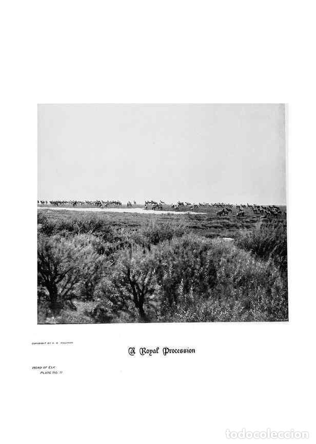 Coleccionismo de Revistas y Peri&oacute;dicos: Reproducci&oacute;n/Reproduction 7026586885: Hoofs, claws and antlers of the Rocky Mountains, by the camera