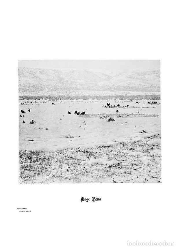 Coleccionismo de Revistas y Peri&oacute;dicos: Reproducci&oacute;n/Reproduction 7026590245: Hoofs, claws and antlers of the Rocky Mountains, by the camera