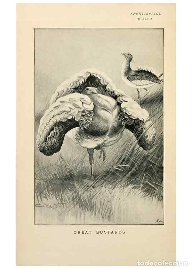 Sammeln von Zeitschriften und Zeitungen: Reproducci&oacute;n/Reproduction 6949909336: Lost and vanishing birds;. London,J. Macqueen,1898. - Dixon, C