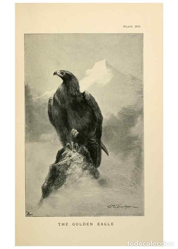 Collezionismo di Riviste e Giornali: Reproducci&oacute;n/Reproduction 7095984257: Lost and vanishing birds;. London,J. Macqueen,1898. - Dixon, C