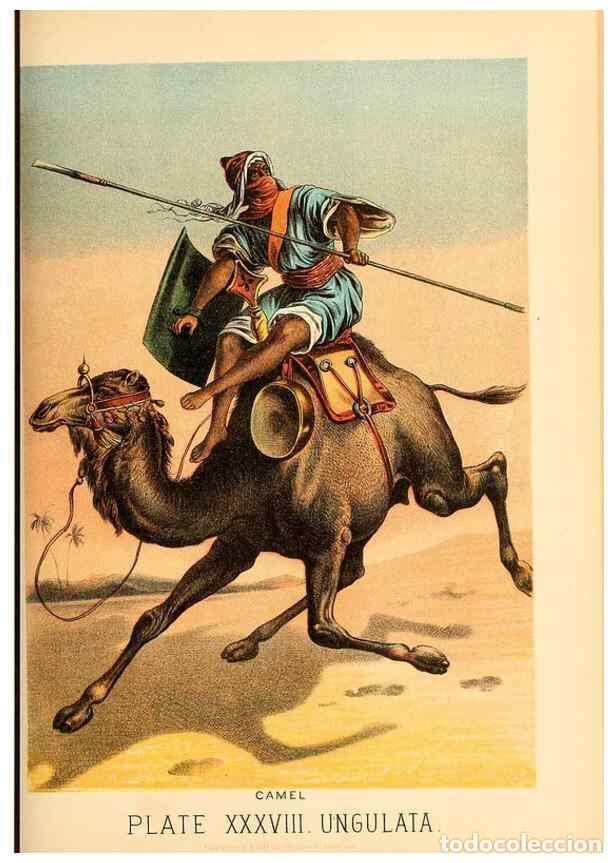 Sammeln von Zeitschriften und Zeitungen: Reproducci&oacute;n/Reproduction 7268667700: Johnson's household book of nature,. New York,H.J.Johnson,[188