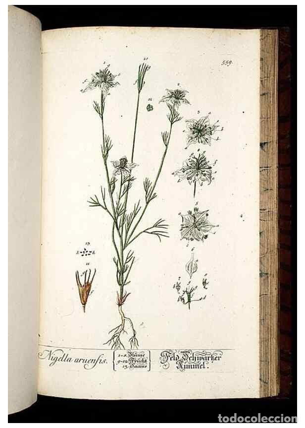 Sammeln von Zeitschriften und Zeitungen: Reproducci&oacute;n/Reproduction 8430074360: Herbarium Blackwellianum emendatum et auctum, id est, Elisabet