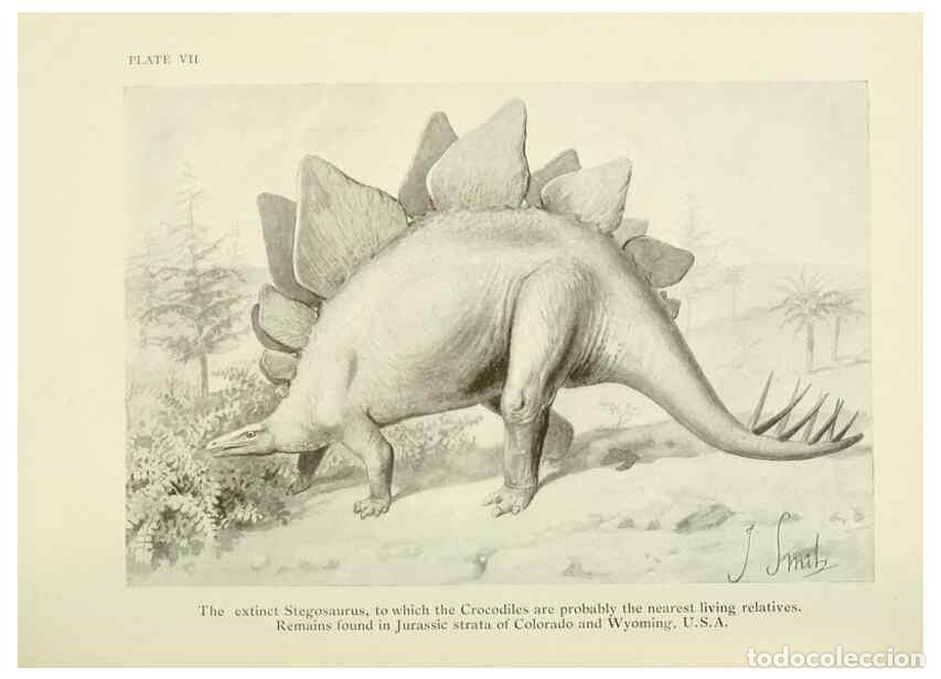 Sammeln von Zeitschriften und Zeitungen: Reproducci&oacute;n/Reproduction 7335339368: The book of the animal kingdom.. London,J. M. Dent & sons, ltd