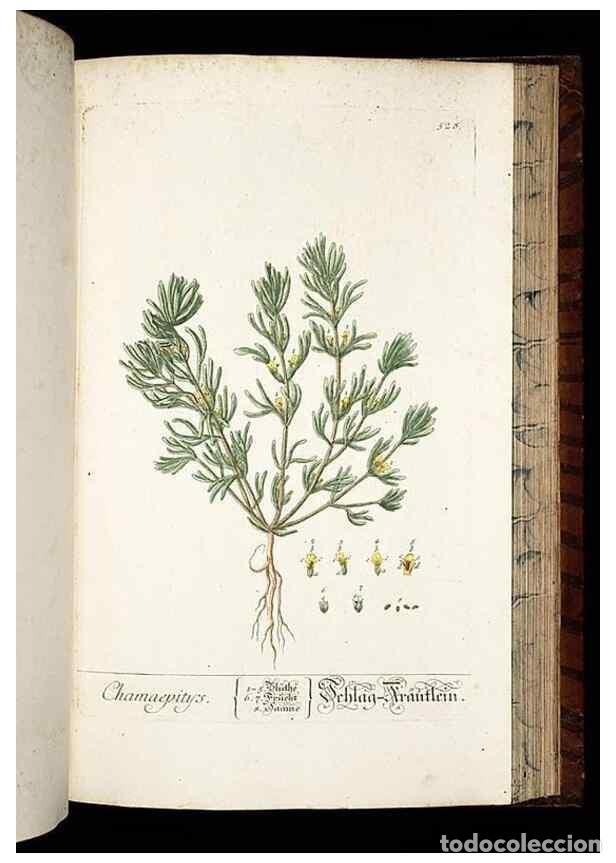 Sammeln von Zeitschriften und Zeitungen: Reproducci&oacute;n/Reproduction 8428979195: Herbarium Blackwellianum emendatum et auctum, id est, Elisabet