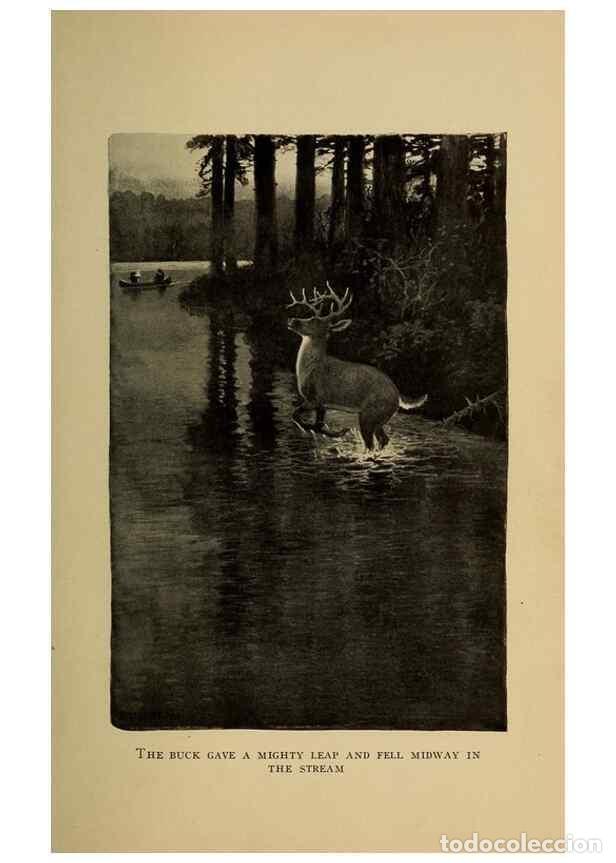 Sammeln von Zeitschriften und Zeitungen: Reproducci&oacute;n/Reproduction 7308391308: Shaggycoat;. Philadelphia,G.W. Jacobs & co.[1906] - Hawkes, Cl